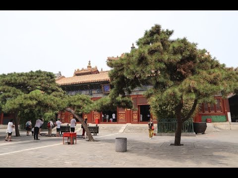 Video: Hoe Om Peking-eendjies Groot Te Maak