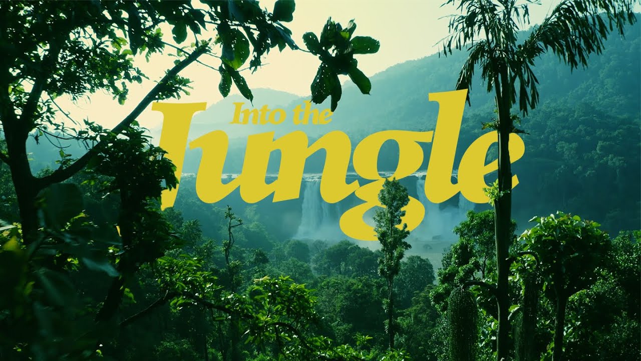 Into the Jungle | Sound Design Practice