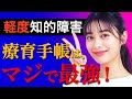 【知的障害】療育手帳や障害者手帳をもつメリットは何か?!
