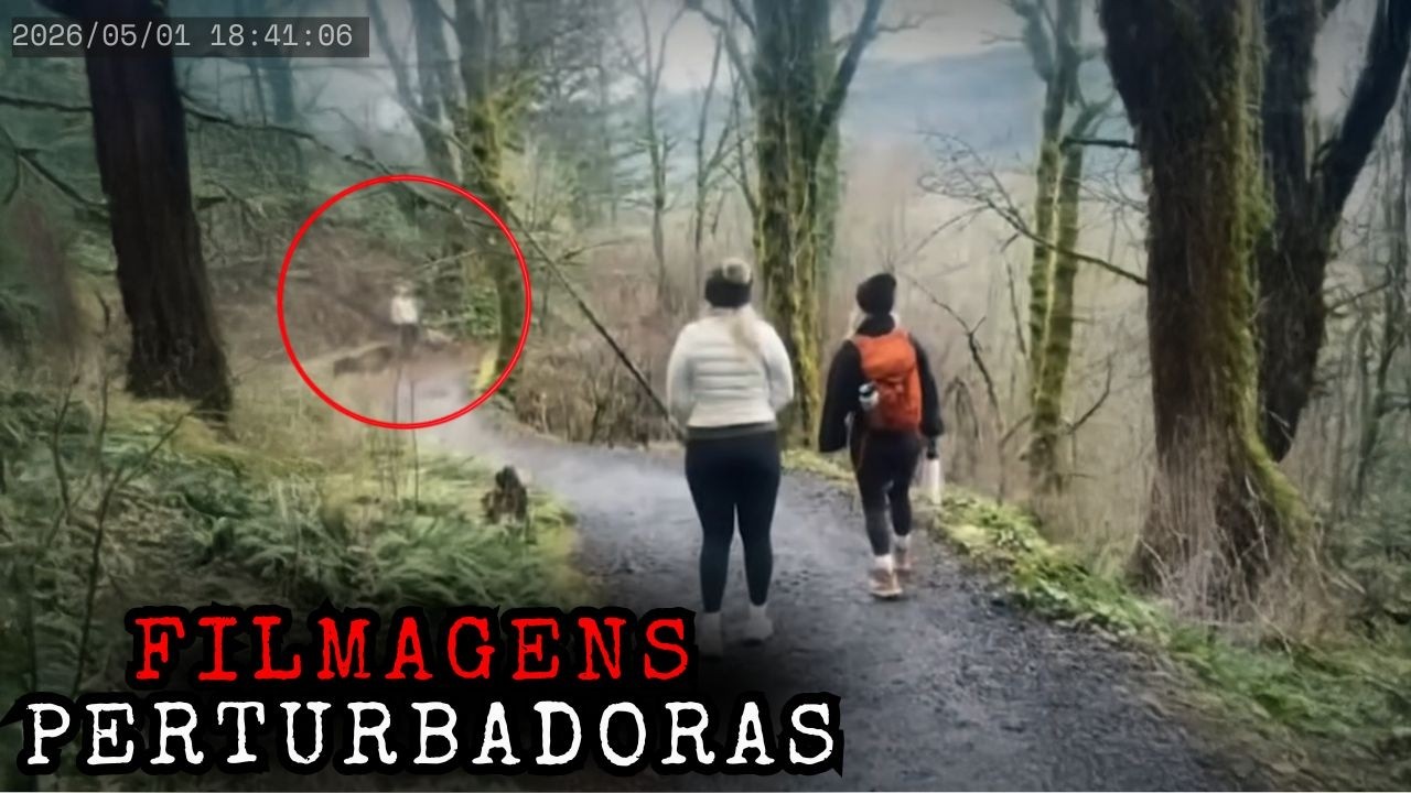 9 Encontros em Florestas que São REALMENTE Assustadores e Você Não Vai Acreditar