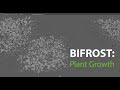 BIFROST: Plant Growth
