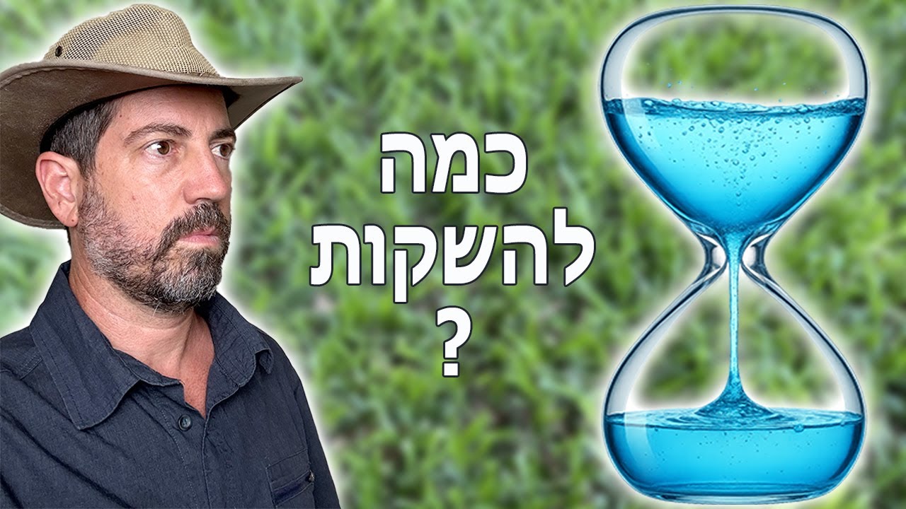 איך יודעים כמה להשקות?