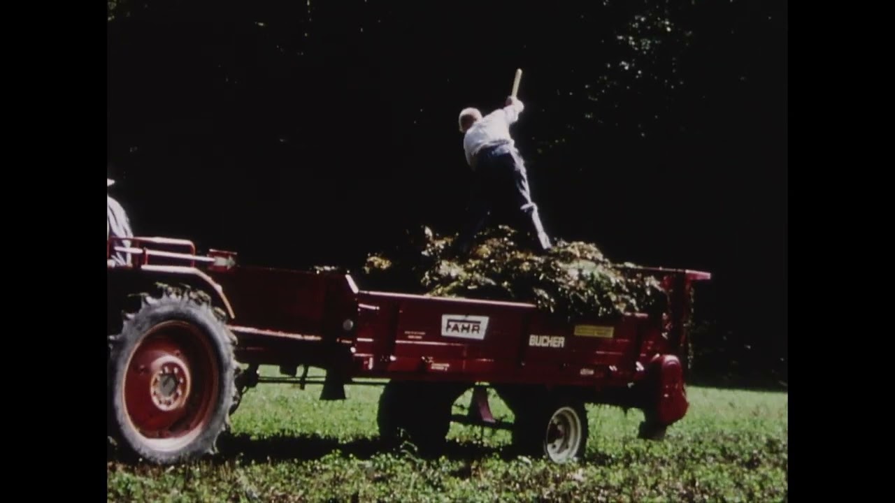 Erst denken, dann lenken (Schweiz, 1966)