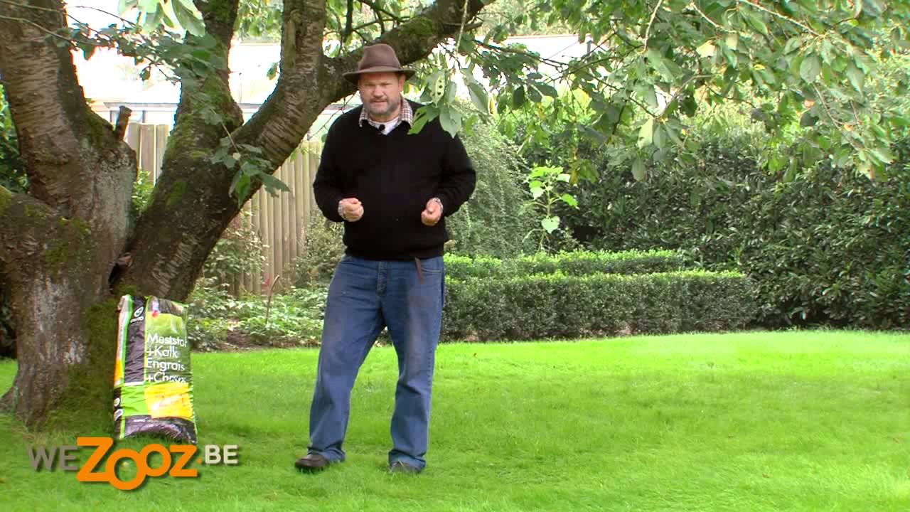 Bemest én bekalk uw gazon in één beweging !