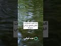 فوبيا المطر فوبيا المطر