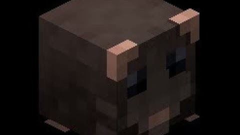 Free Token Login Mod   Hypixel Skyblock Ratting