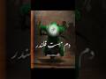 Man kunto mola Ali Ali Mere Nabi ne bola Ali Ali #islamicvideo #ytshorts #youtubeshorts #hazratali