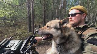 ВПЕРВЫЕ ЗА 5 ЛЕТ. ТЁПЛЫЙ СТРИМ. ЕСТЬ ВОПРОСЫ ДАВАЙ ОБСУДИМ.