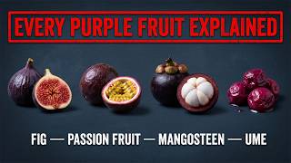 Every Purple Fruit Explained in 16 Minutes