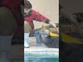 今すぐ手を繋ぎたいキラちゃん🆚ポーズを決めてほしいお姉さん #鳥羽水族館 #ラッコ #seaotter