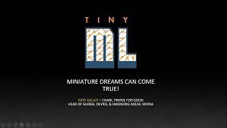 tinyML Summit 2022 Keynote: Miniature dreams can come true! Profile
