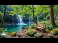 Soothing Relaxing Music 🌿Nature Sounds & Stress Relief Music to Calm the Heart and Inner Peace