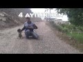 Hunting dog training Av Köpeği köpek egitimi Ferma Apor Su Hunting dog training Av Köpeği köpek egitimi Ferma Apor Su