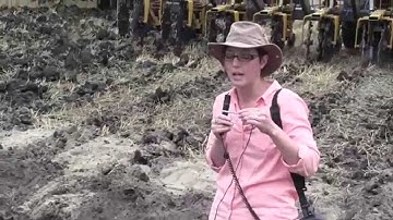 Shallow tillage and nitrogen volatilization