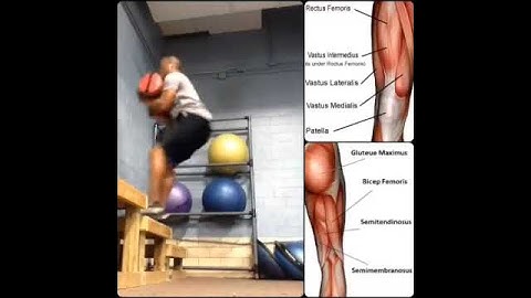 Squat Arm Curl and box jump