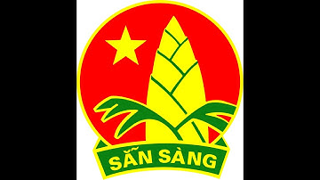 Báo cáo tổng kết Công tác Đội 2020-2021