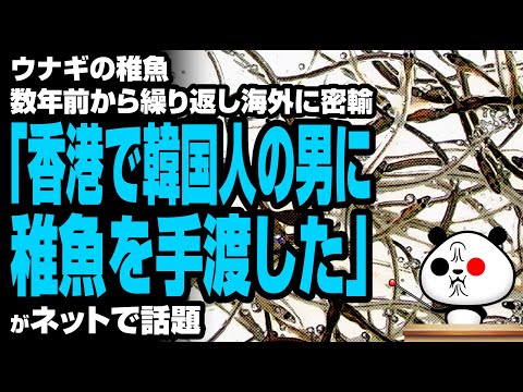 ゆるパンダのネットの話題ch 2020年7月30日 ウナギの稚魚 数年前から海外に流出が話題