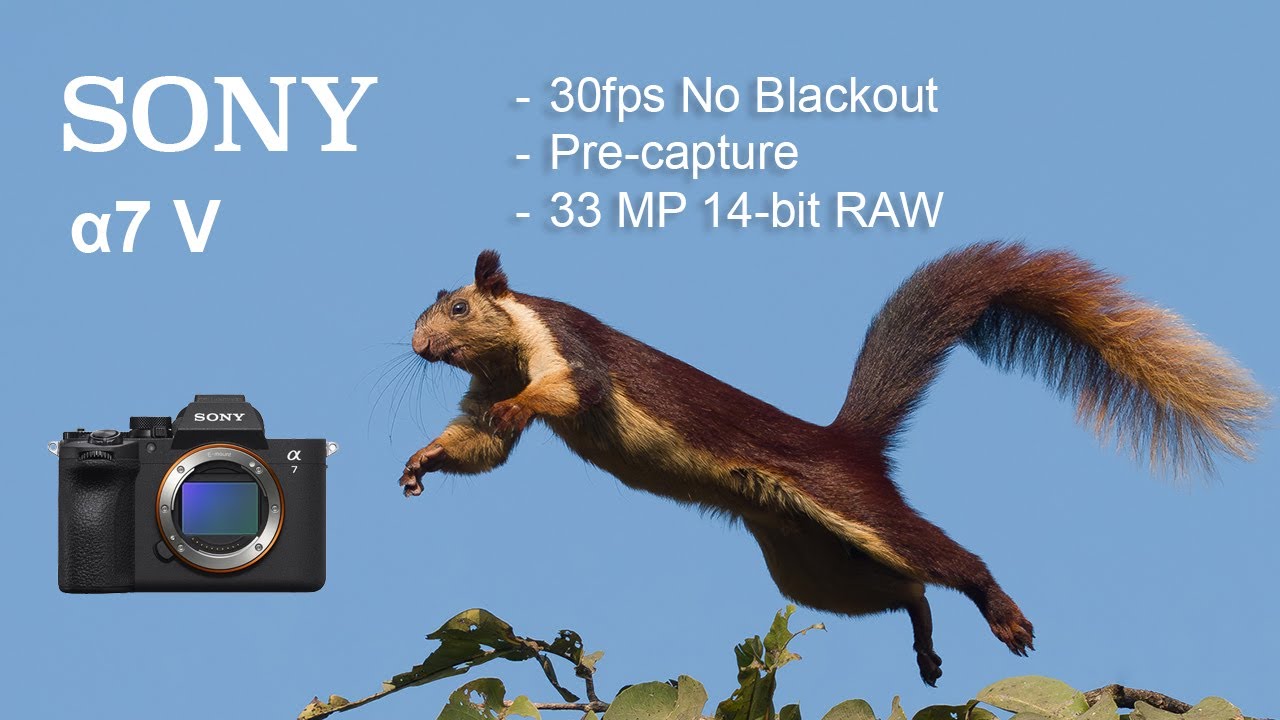 Sony A7V camera feature Highlights