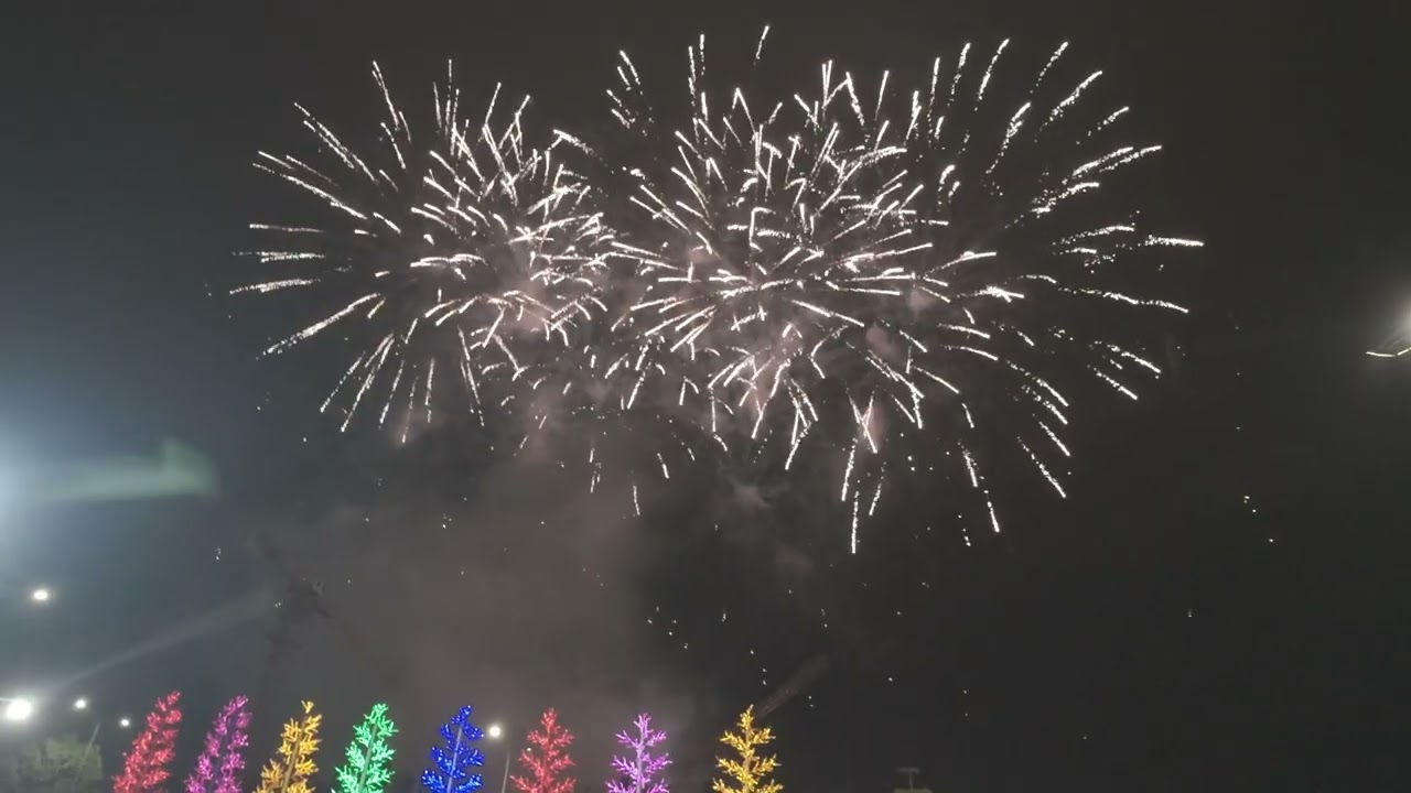 21.02.26 Mồng 5 Tết. Pháo hoa tại Ocean Park 2