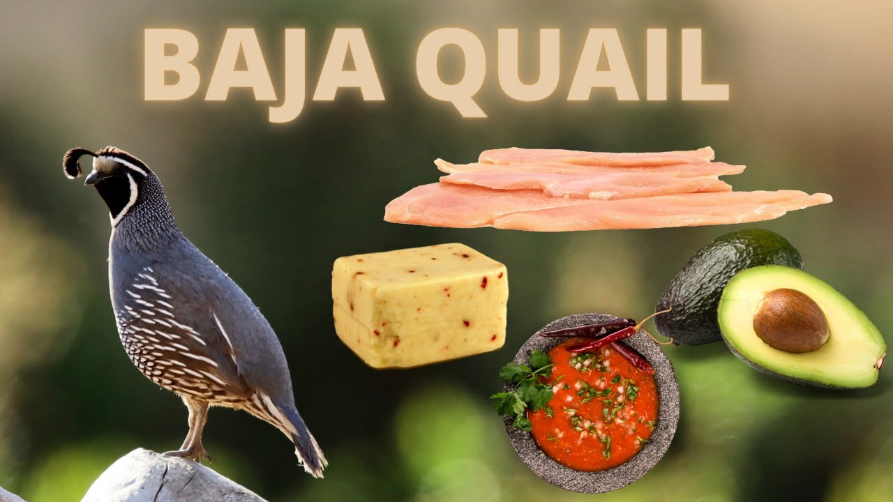 BAJA STYLE  WILD CALIFORNIA VALLEY QUAIL WITH FRESH ROASTED SALSA