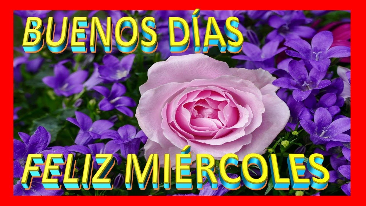 ????✨ BUENOS DÍAS FELIZ MIÉRCOLES LINDO MENSAJE ✨???? - YouTube
