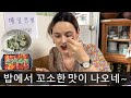 곤드레밥+더덕구이 먹어보는 외국인 아내의 산골마을 한정식 체험 ❤️ | 강원도 정선 | 국제커플 국제부부 루마니아