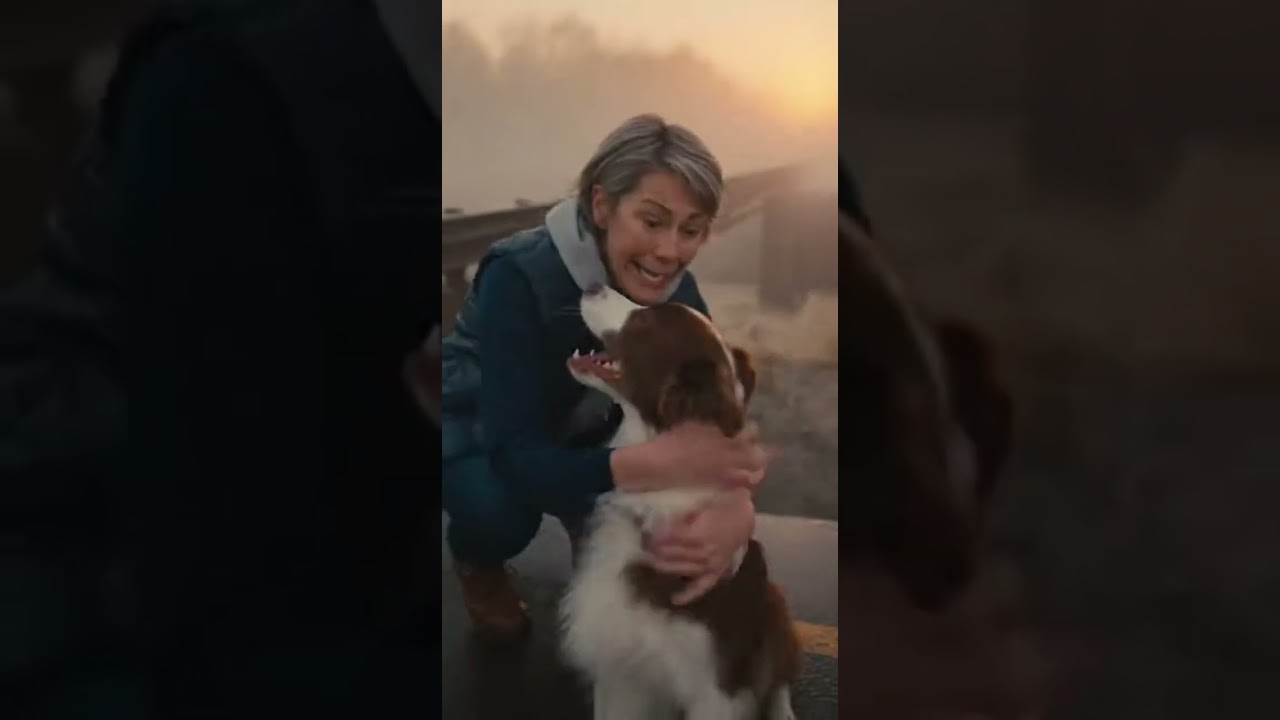 Умная бордер-колли спасла школьный автобус от катастрофы! 🐕🚌