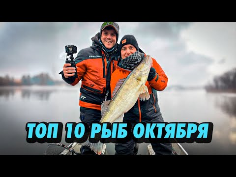 САМЫЕ БОЛЬШИЕ РЫБЫ ПОЙМАННЫЕ ЗА ОКТЯБРЬ В РАМКАХ КУБКА ГИДОВ И РЫБАКОВ. РЫБАЛКА С ГИДОМ.