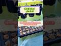 Gladiolus gardening tips/ starting gladiolus indoor for outside planting #gardeningtips #garden