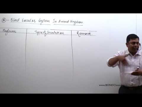 CIRCULATORY SYSTEM  PART 03