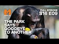 Toprish passes  season 16 episode 9  full episode  monkey life