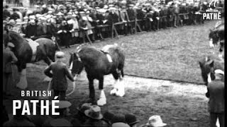 Glasgow Agricultural Society - Stallion Show At Scotstoun (1920-1929)