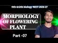 Morphology of flowering plant #7 |11th &amp;12th Biology NEET 2026-27 concept clear | BY-PANKAJ KASHYAP 