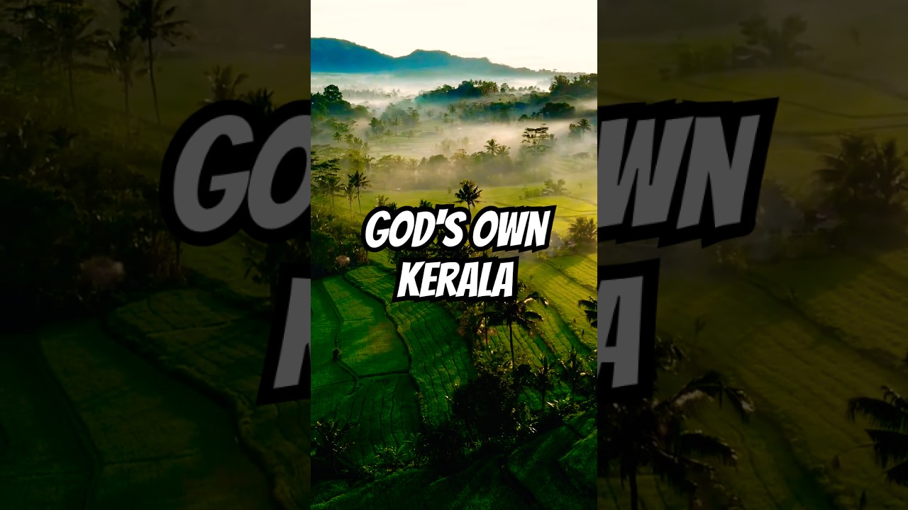 Kerala tour packages | Kerala Family Tour | Kerala tour price | attractions  in Kerala