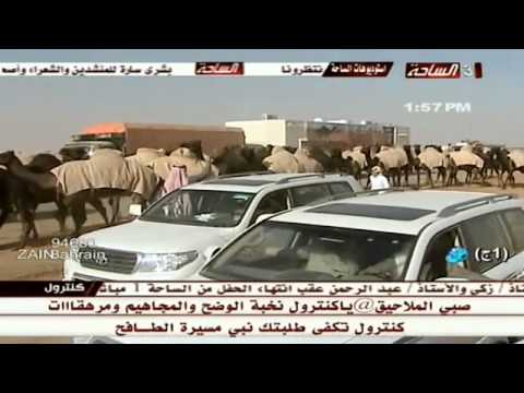 قناة الساحة 3 برامج القناة