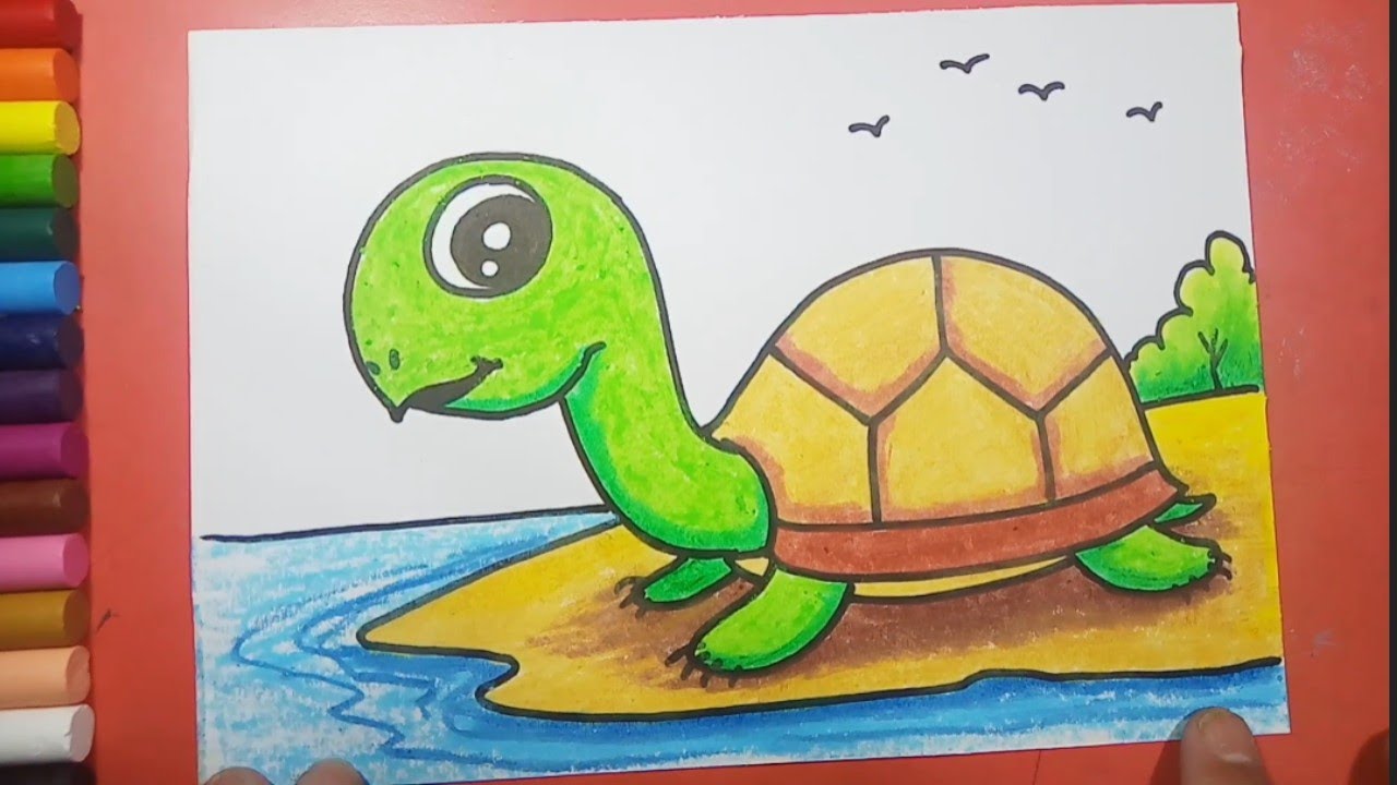 Share more than 134 tortoise images for drawing best