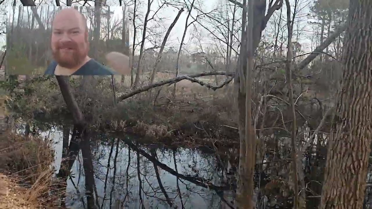 Brief channel update vlog!