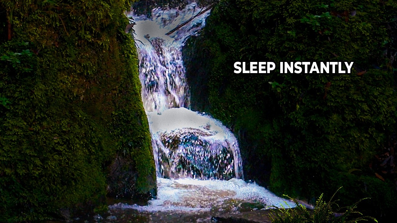 Moss Waterfall Wall 🌿 Powerful Water Sounds for Deep Sleep & Insomnia Relief (8 Hours) #deepsleep