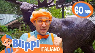 Blippi esplora un parco con animali selvatici | Blippi in Italiano | Video educativi per bambini