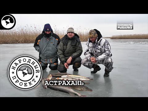 Щука на поставушки. Рыбалка в Астрахани | Народный проект ©
