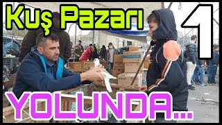 Kuş Pazarı Yolunda İstanbul Edirne Kapı Güvercin Pazarına Nasıl Gidilir İstanbul Kuş Pazarı Adres