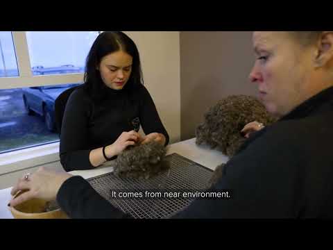 How Icelandic eiderdown duvets and pillows are made. - video from Icelandic Down