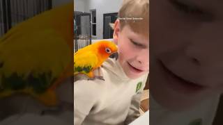Parrot Skills = Unlimited 🦜✨ #foryou #funny #funnyanimal #pets #funnybird #birds #funnyparrot