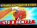 Аукцион Контейнеров В США! Неожиданные Находки В Контейнере!Нашли Коллекционные Фигуры! Dremel!