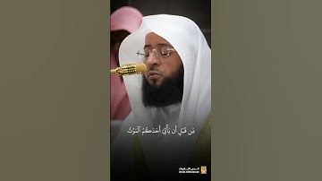 ترتيل جميل لأواخر  #سورة_المنافقون | #بدر_التركي