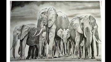 Hyper Realistic Sketch Of Elephants Crew😍 / How to draw elephant/How to draw elephant step by step.
