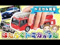 はたらくくるまの歌🌈消防車・救急車・パトカー!【はたらくトミカ&実写】大集合! Working Cars for Kids