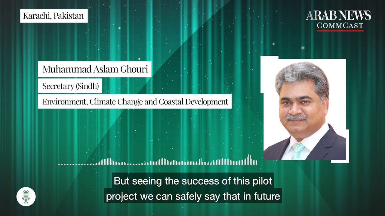 Listen to Aslam Ghouri speak on Sindh's successful palm oil production ...