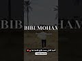 حبيبي يا رسول الله محمد طارق غدا ان شاء الله