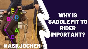Importance of Saddle Fit to Rider  | #ASKJochen | Livestream Q&A Excerpt